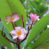 фото из отзыва ID 1100943
