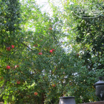 фото из отзыва ID 1101120