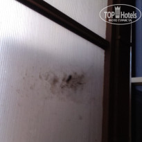 фото из отзыва ID 1101211