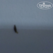 фото из отзыва ID 1101211