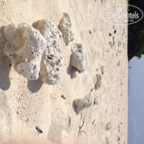 фото из отзыва ID 1101277