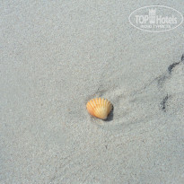 фото из отзыва ID 1101373