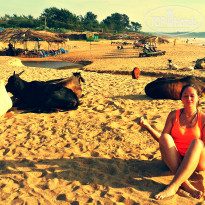 фото из отзыва ID 1101412