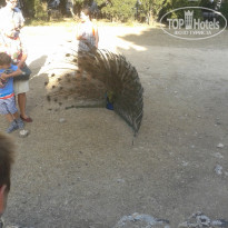 фото из отзыва ID 1101596