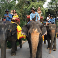 фото из отзыва ID 1101583