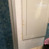 фото из отзыва ID 1101746