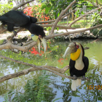 фото из отзыва ID 1101797