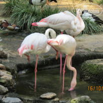 фото из отзыва ID 1101797