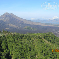 фото из отзыва ID 1101797