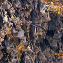 фото из отзыва ID 1101797