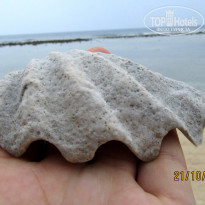 фото из отзыва ID 1101797