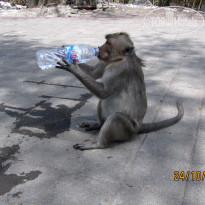 фото из отзыва ID 1101797