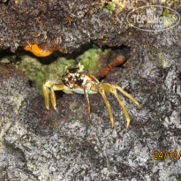 фото из отзыва ID 1101797