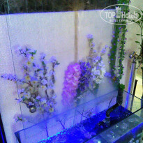 фото из отзыва ID 1101816