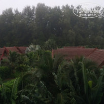 фото из отзыва ID 1101981