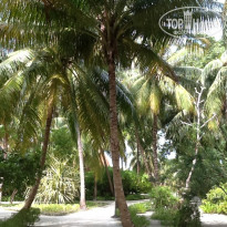 фото из отзыва ID 1102158