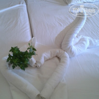 фото из отзыва ID 1102209