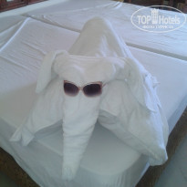 фото из отзыва ID 1102209