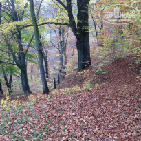 фото из отзыва ID 1102374