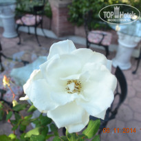 фото из отзыва ID 1102495