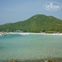 фото из отзыва ID 1102019