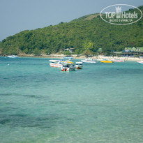 фото из отзыва ID 1102019