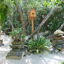 фото из отзыва ID 1102605