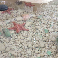 фото из отзыва ID 1102605