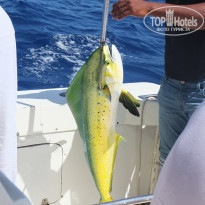 фото из отзыва ID 1102605