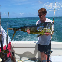 фото из отзыва ID 1102605