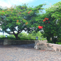 фото из отзыва ID 1102605