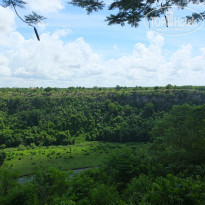 фото из отзыва ID 1102605