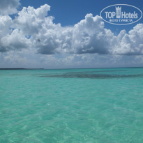 фото из отзыва ID 1102605