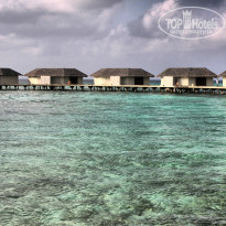 фото из отзыва ID 1102619