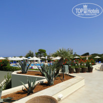 фото из отзыва ID 1102621