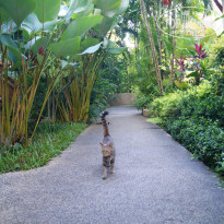 фото из отзыва ID 1102668