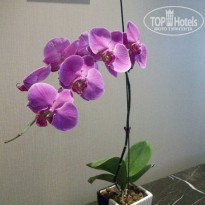 фото из отзыва ID 1102773