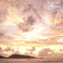 фото из отзыва ID 1102774