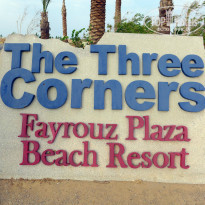 фото из отзыва ID 1102339