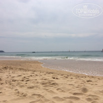 фото из отзыва ID 1102813