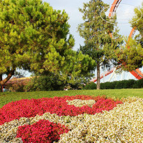 фото из отзыва ID 1103187