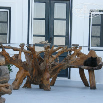 фото из отзыва ID 1102806