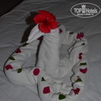 фото из отзыва ID 1103203