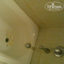 фото из отзыва ID 1103231