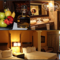 фото из отзыва ID 1103248