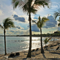 фото из отзыва ID 1103248