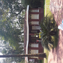 фото из отзыва ID 1103424