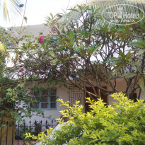 фото из отзыва ID 1103452