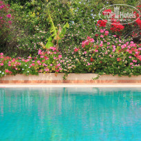 фото из отзыва ID 1103471