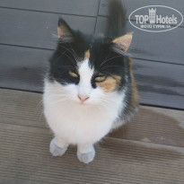 фото из отзыва ID 1102495